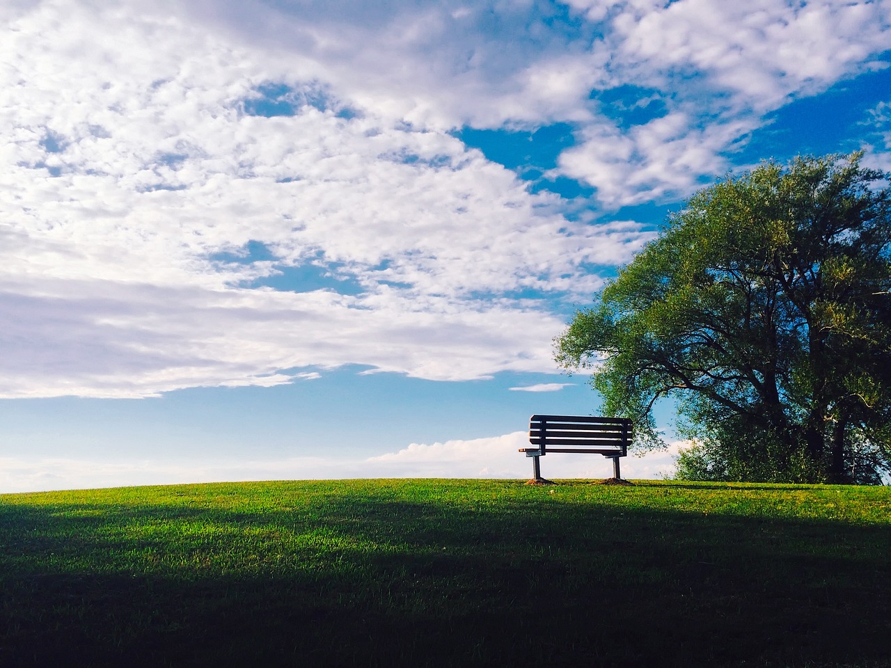 Can Confidence Affect Your Public Speaking Skills?
